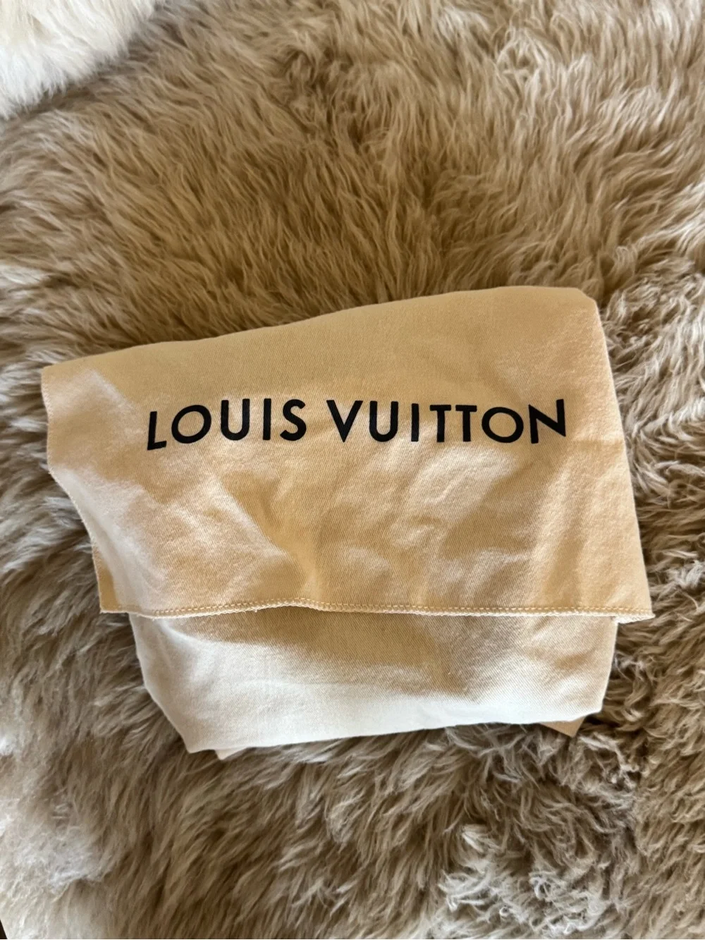 Louis Vuitton Black Leather Mini Backpack with Gold Buckle